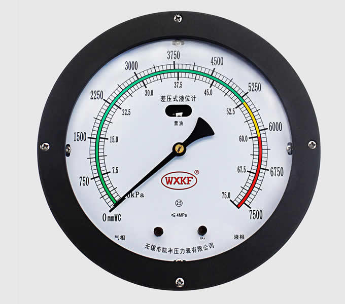 YWJ-I Double Bellows Level Gauge